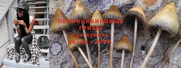 ешки Дмитров