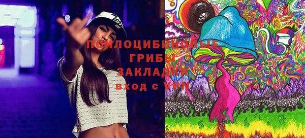 бутират Дмитровск