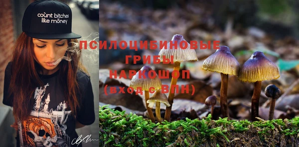 наркотики Дмитриев